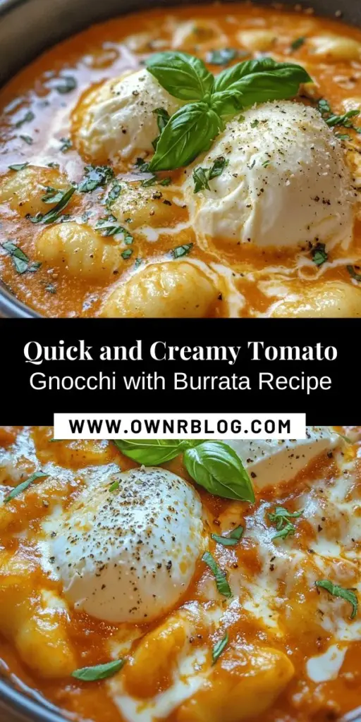 Enjoy a culinary adventure with this easy 30-Minute Creamy Tomato Gnocchi with Burrata recipe! Perfect for busy weeknights, this dish combines soft, pillowy gnocchi with a rich creamy tomato sauce, topped with luxurious burrata cheese for an indulgent treat. Fresh basil and Parmesan elevate the flavors, creating a visually stunning meal that's sure to impress any guest. Try it today for a taste of comforting Italian cuisine! #Gnocchi #ItalianRecipes #QuickMeals #ComfortFood #Burrata #CreamyTomatoSauce