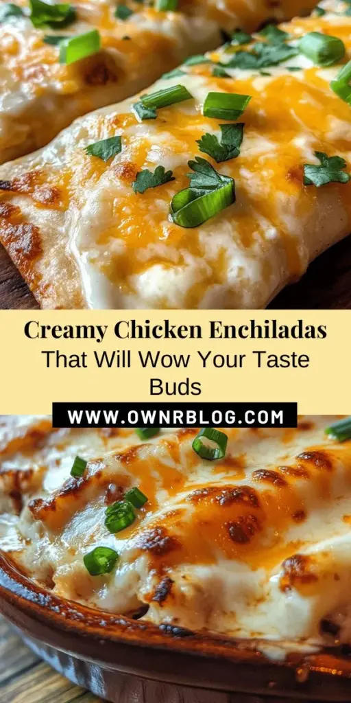 Discover the rich flavors of Creamy Chicken Enchiladas with Sour Cream White Sauce! This easy recipe transforms shredded chicken, cream cheese, and tortillas into a comforting dish everyone will love. Smothered in a luscious sour cream sauce, these enchiladas are perfect for family dinners or entertaining guests. Dive into the world of Mexican cuisine and impress with a delightful meal that captures the essence of home-cooked goodness. #Enchiladas #MexicanFood #ComfortFood #Recipe #HomeCooking